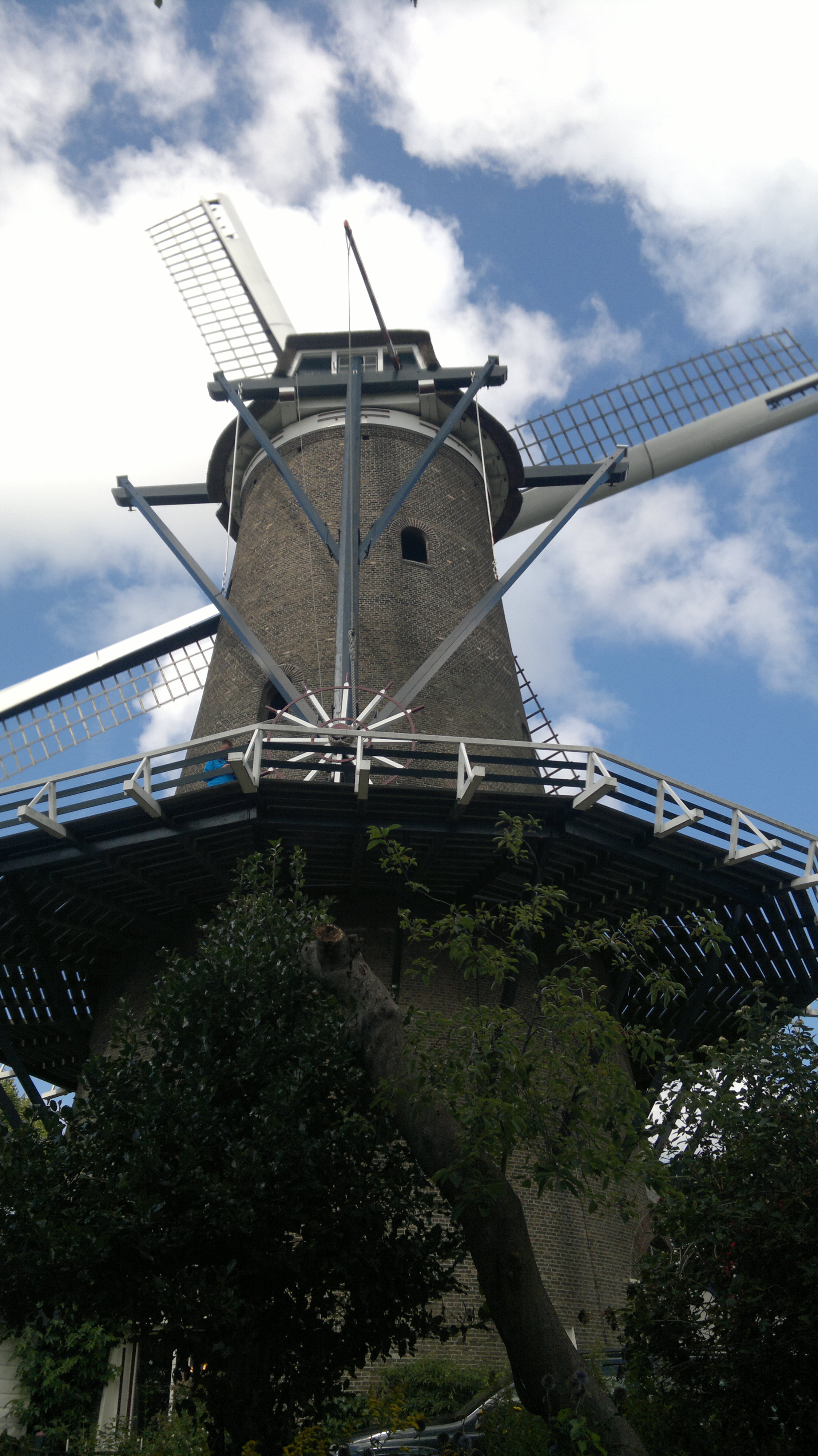 Mulino ad Alkmaar