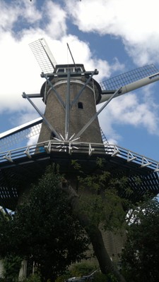 Mulino ad Alkmaar - small